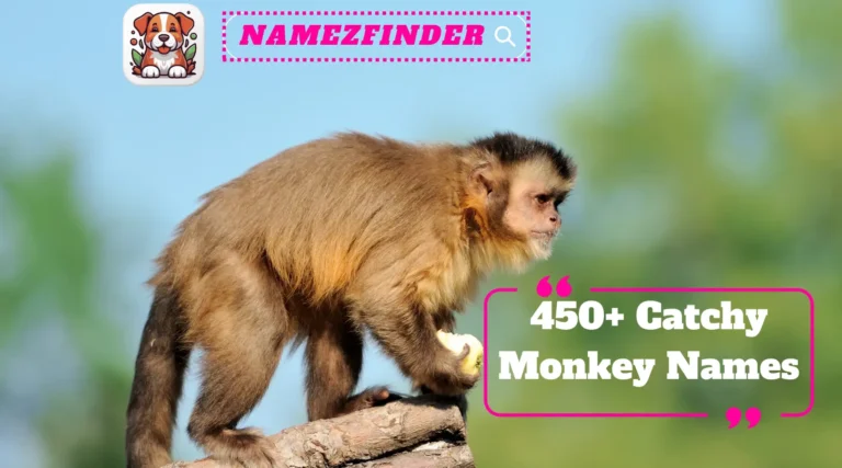 Catchy Monkey Names