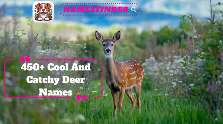 Deer Names