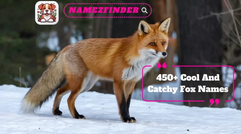 Fox Names