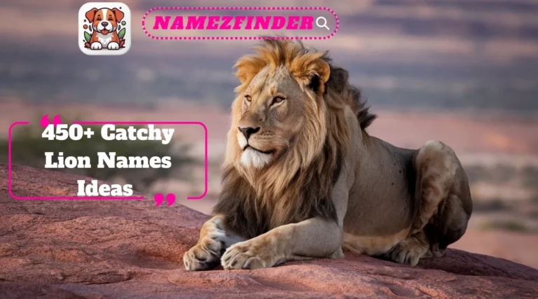 Lion Names