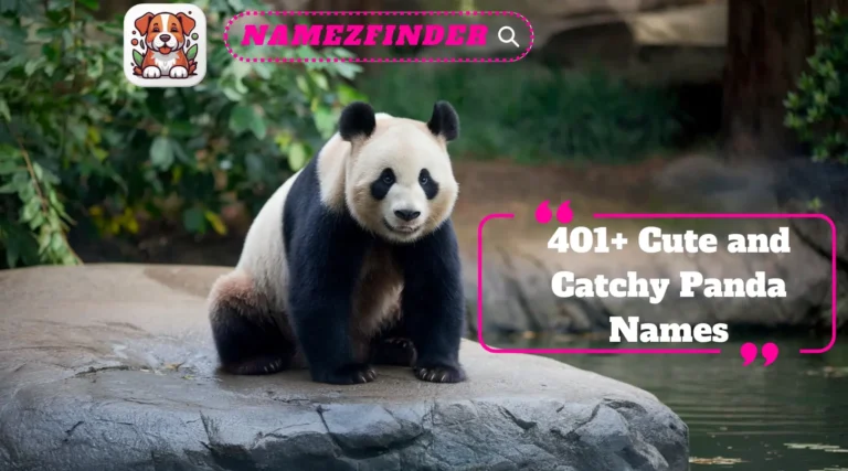 Panda Names