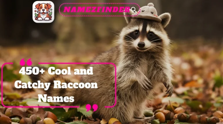 Raccoon Names