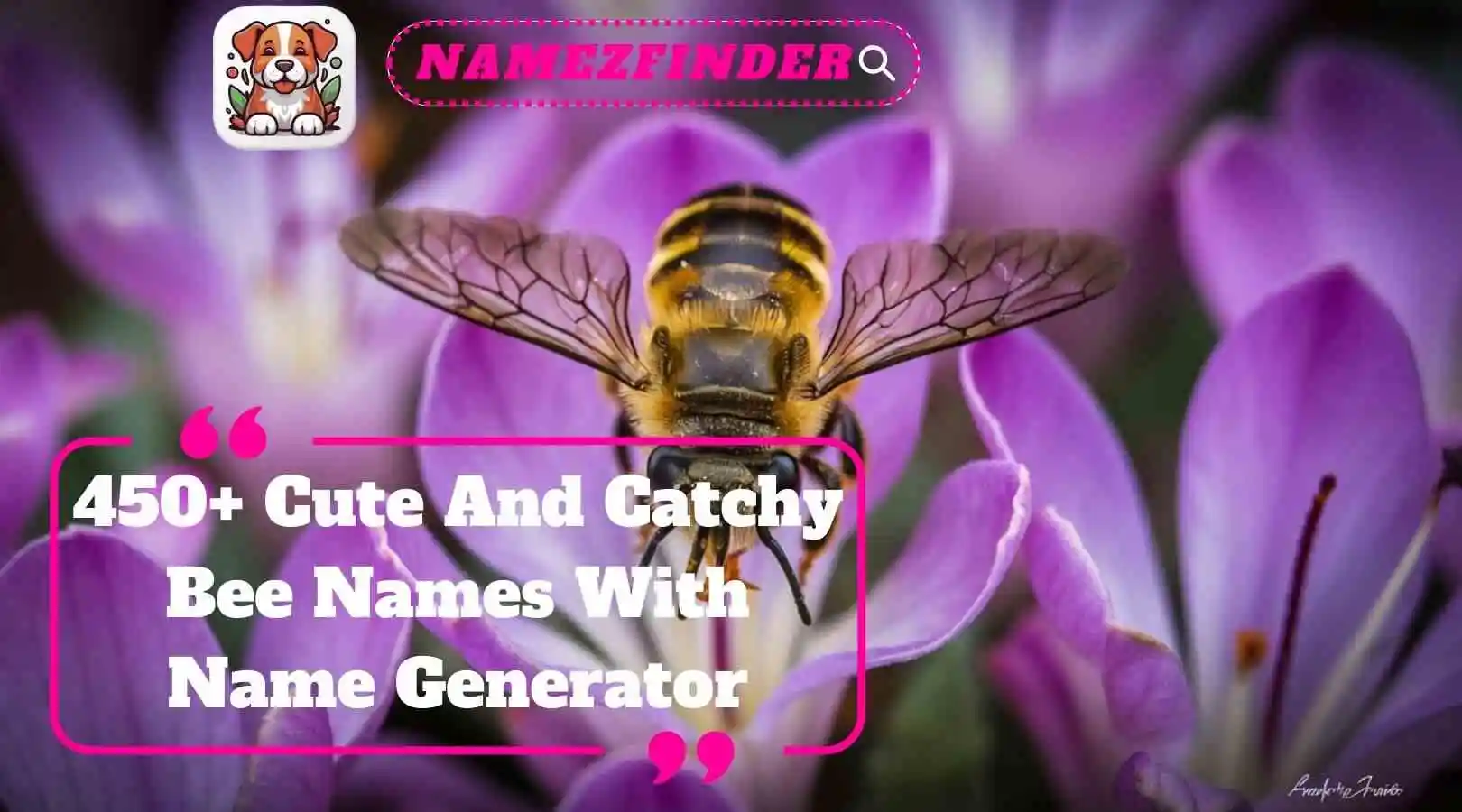 Cute And Catchy Bee Names With Name Generator