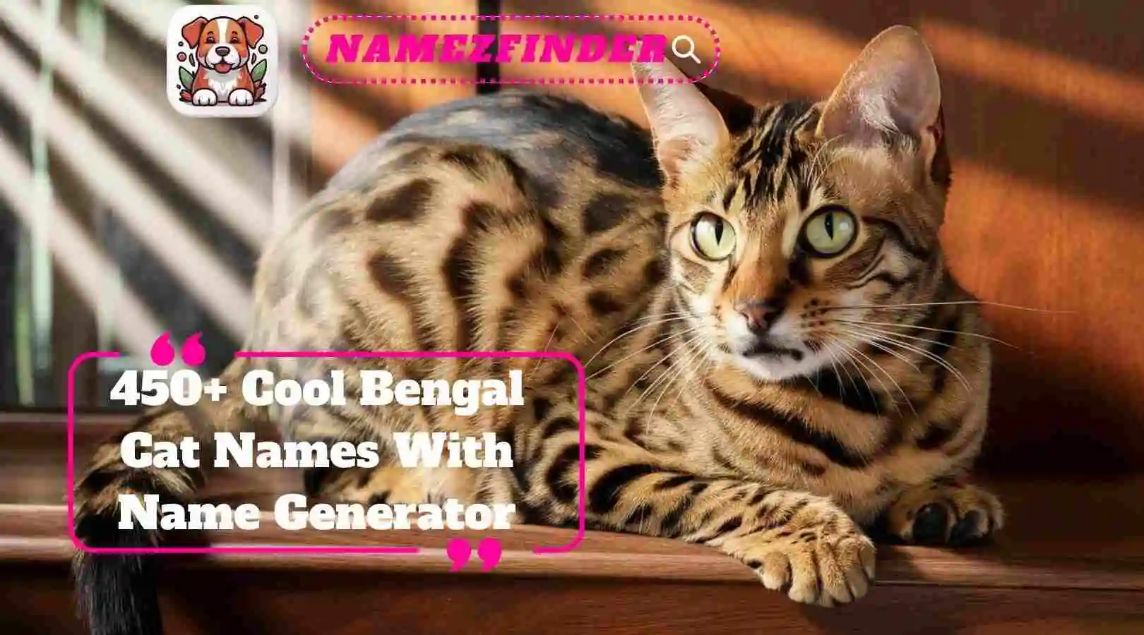 Cool Bengal Cat Names With Name Generator