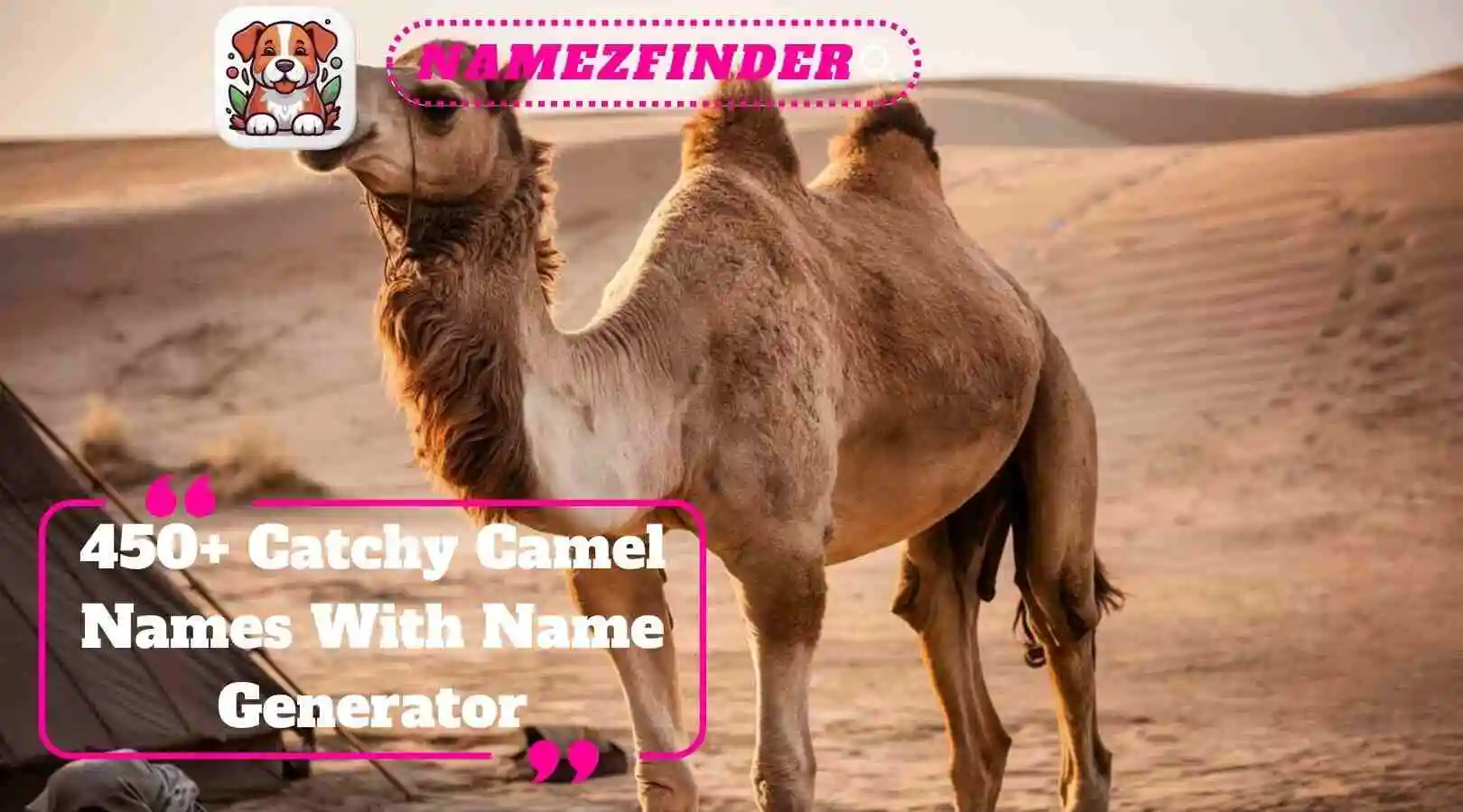 Catchy Camel Names With Name Generator