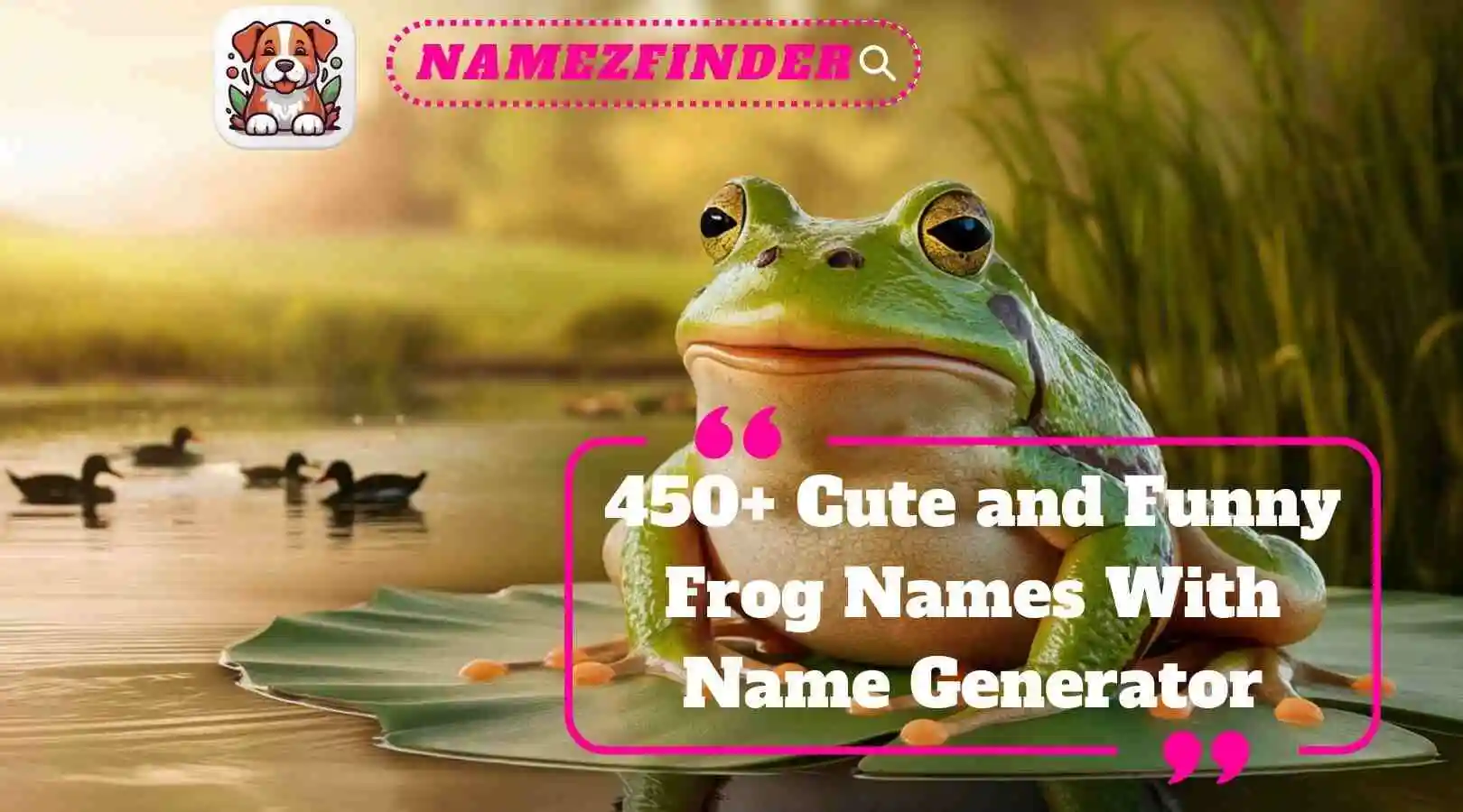 Cute and Funny Frog Names With Name Generator