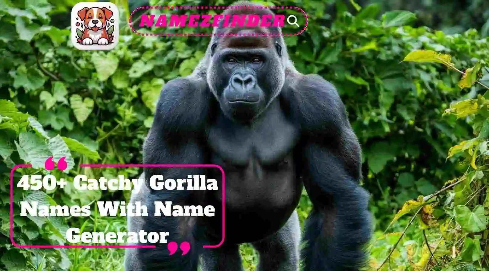 Catchy Gorilla Names With Name Generator