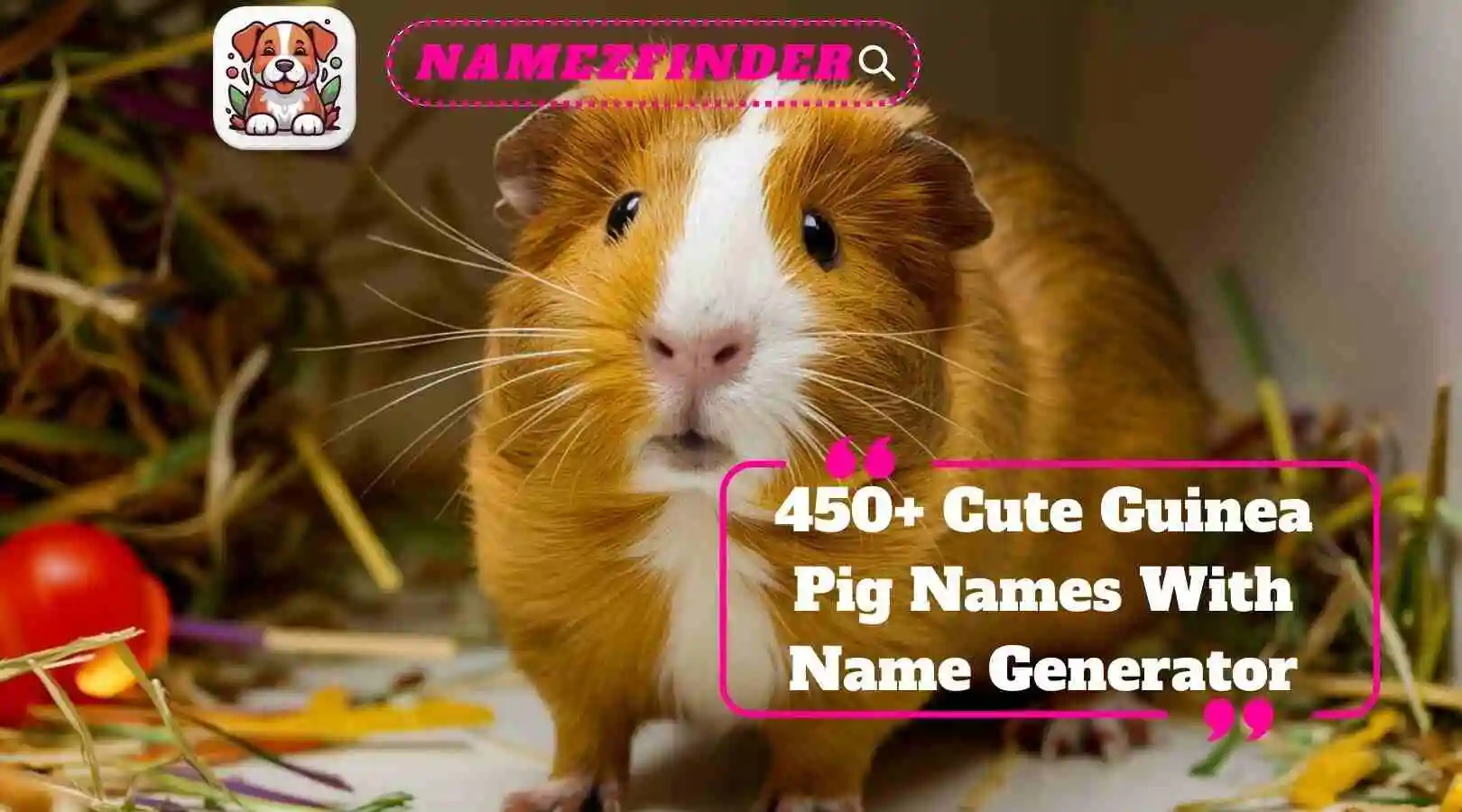 Cute Guinea Pig Names With Name Generator