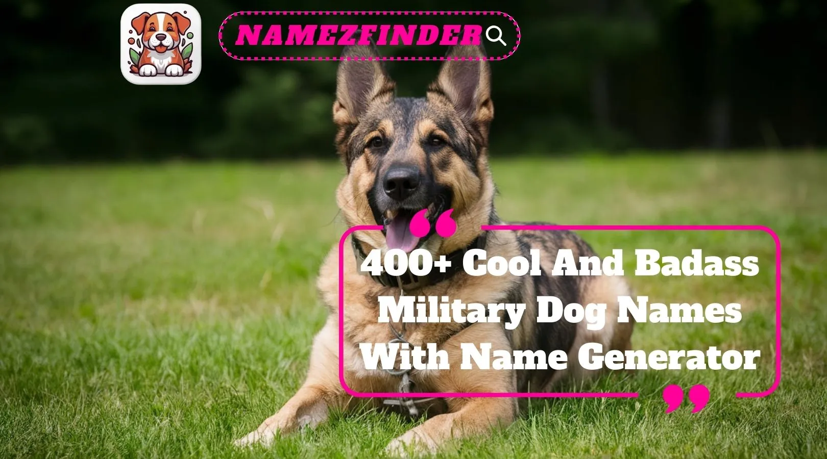 400+ Cool And Badass Military Dog Names With Name Generator