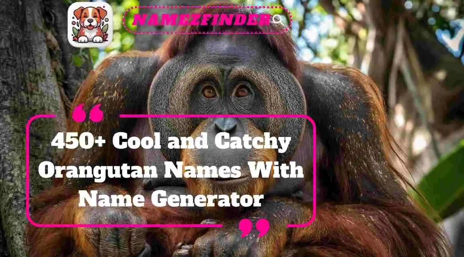 Cool and Catchy Orangutan Names With Name Generator