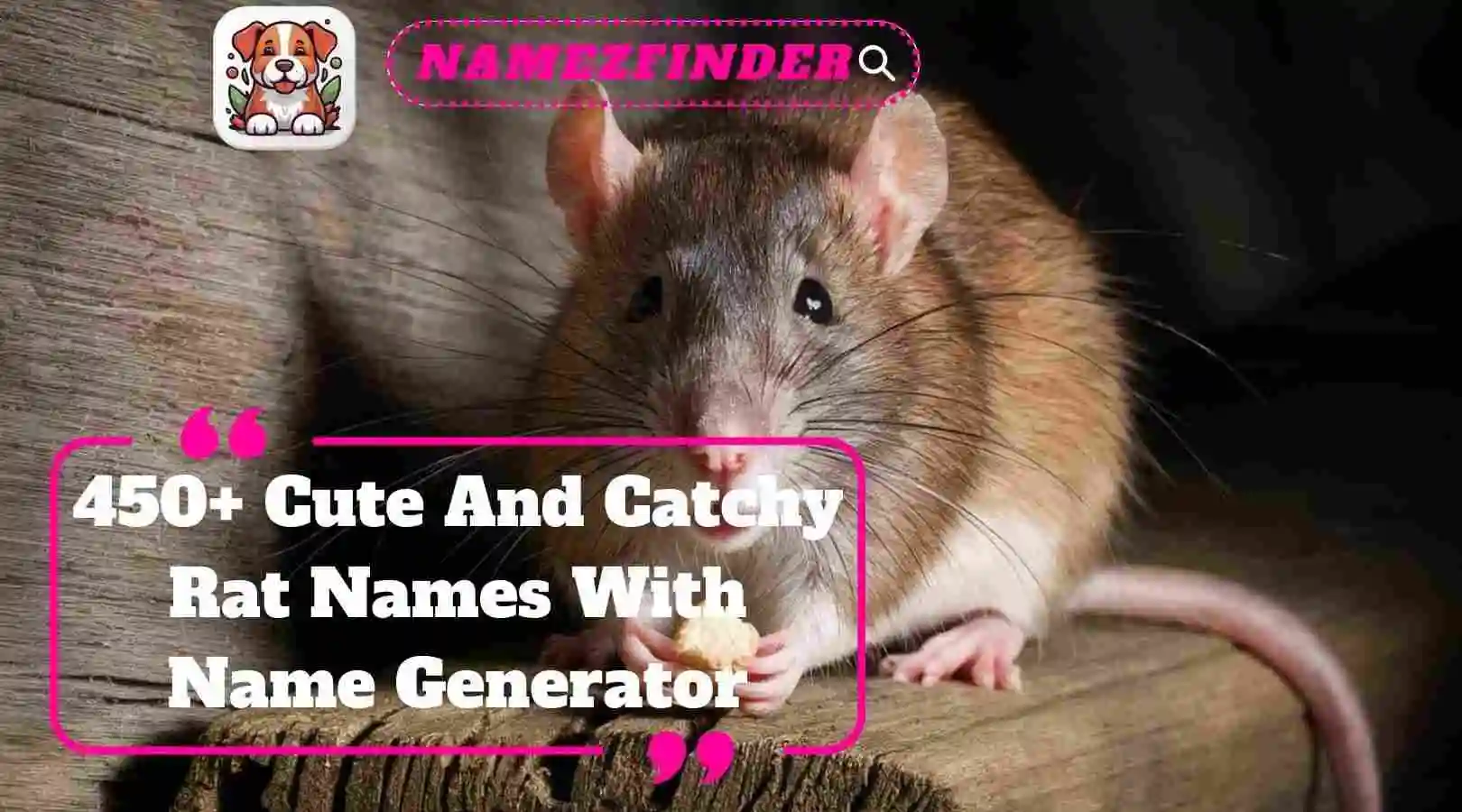 Cute And Catchy Rat Names With Name Generator