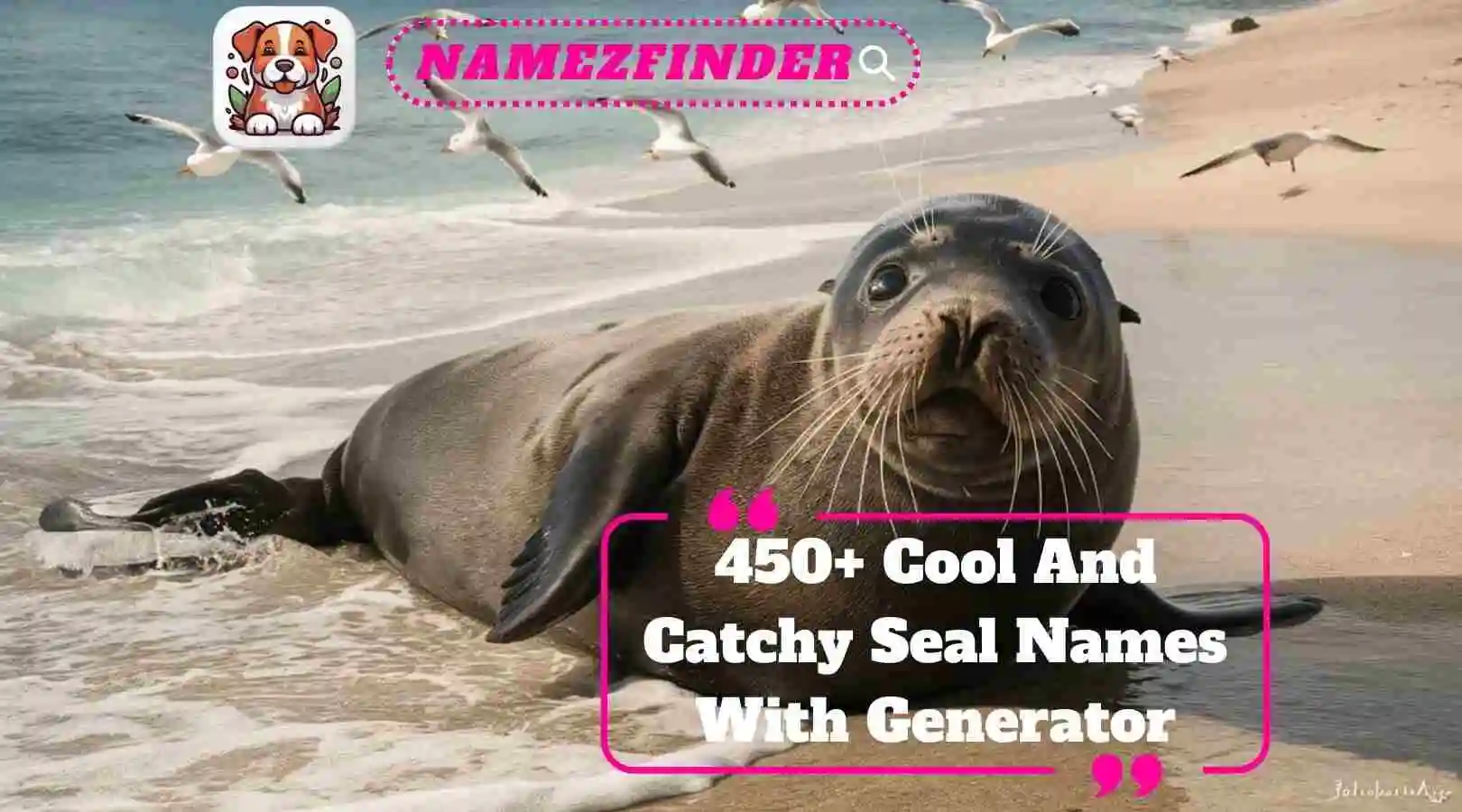 Cool And Catchy Seal Names With Generator