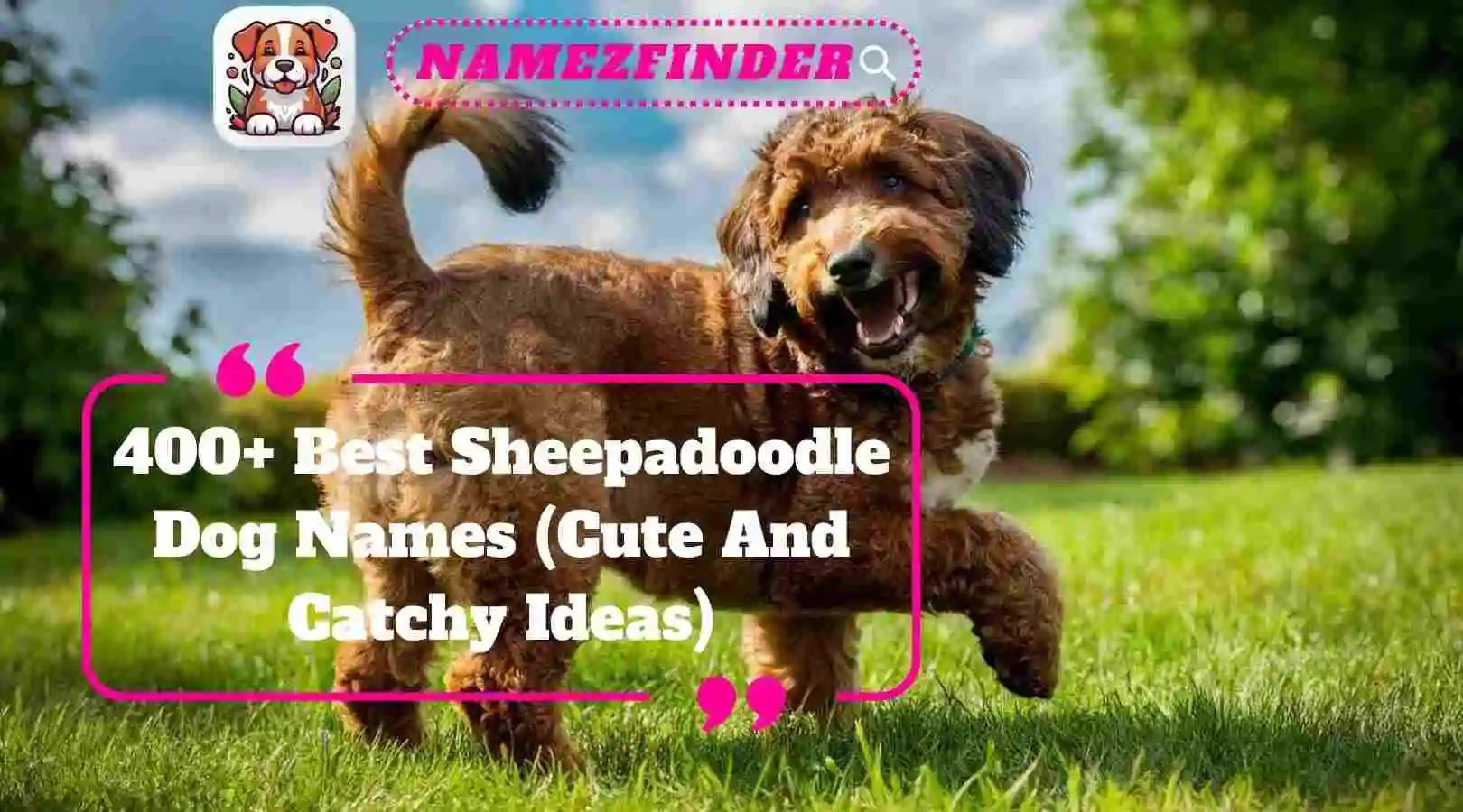 Best Sheepadoodle Dog Names (Cute And Catchy Ideas)