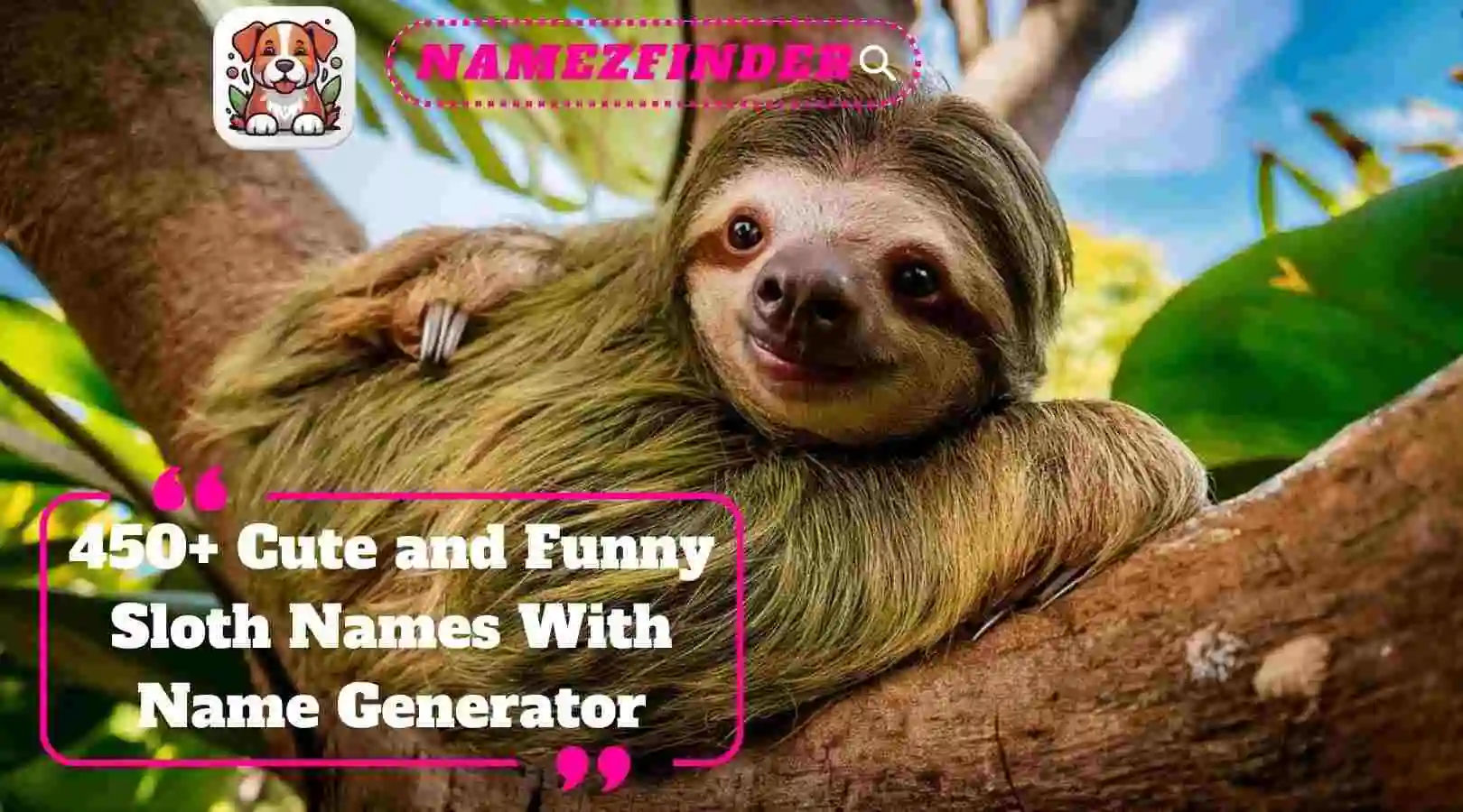 Cute and Funny Sloth Names with Name Generator