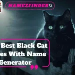 Best Black Cat Names With Name Generator