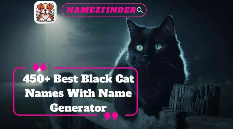 Best Black Cat Names With Name Generator