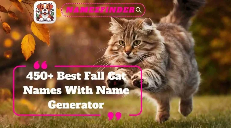 Best Fall Cat Names With Name Generator