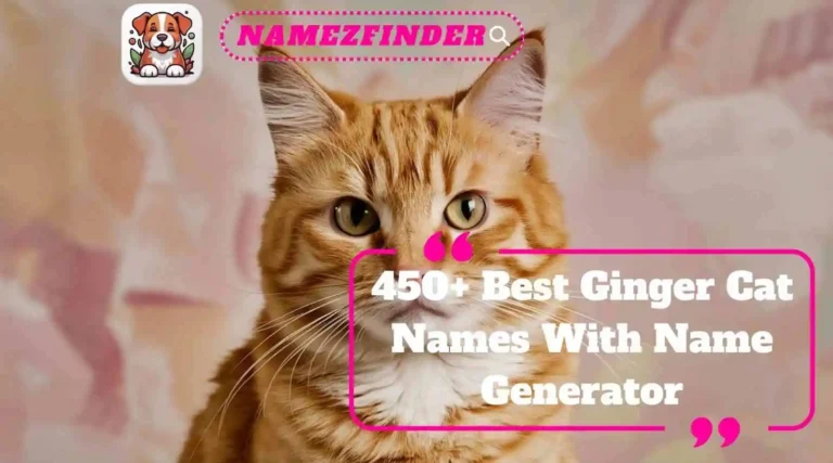 Best Ginger Cat Names With Name Generator