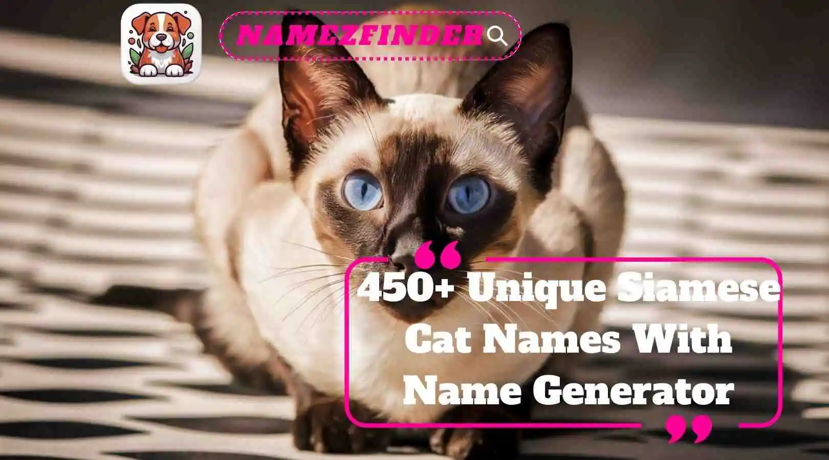 Unique Siamese Cat Names With Name Generator