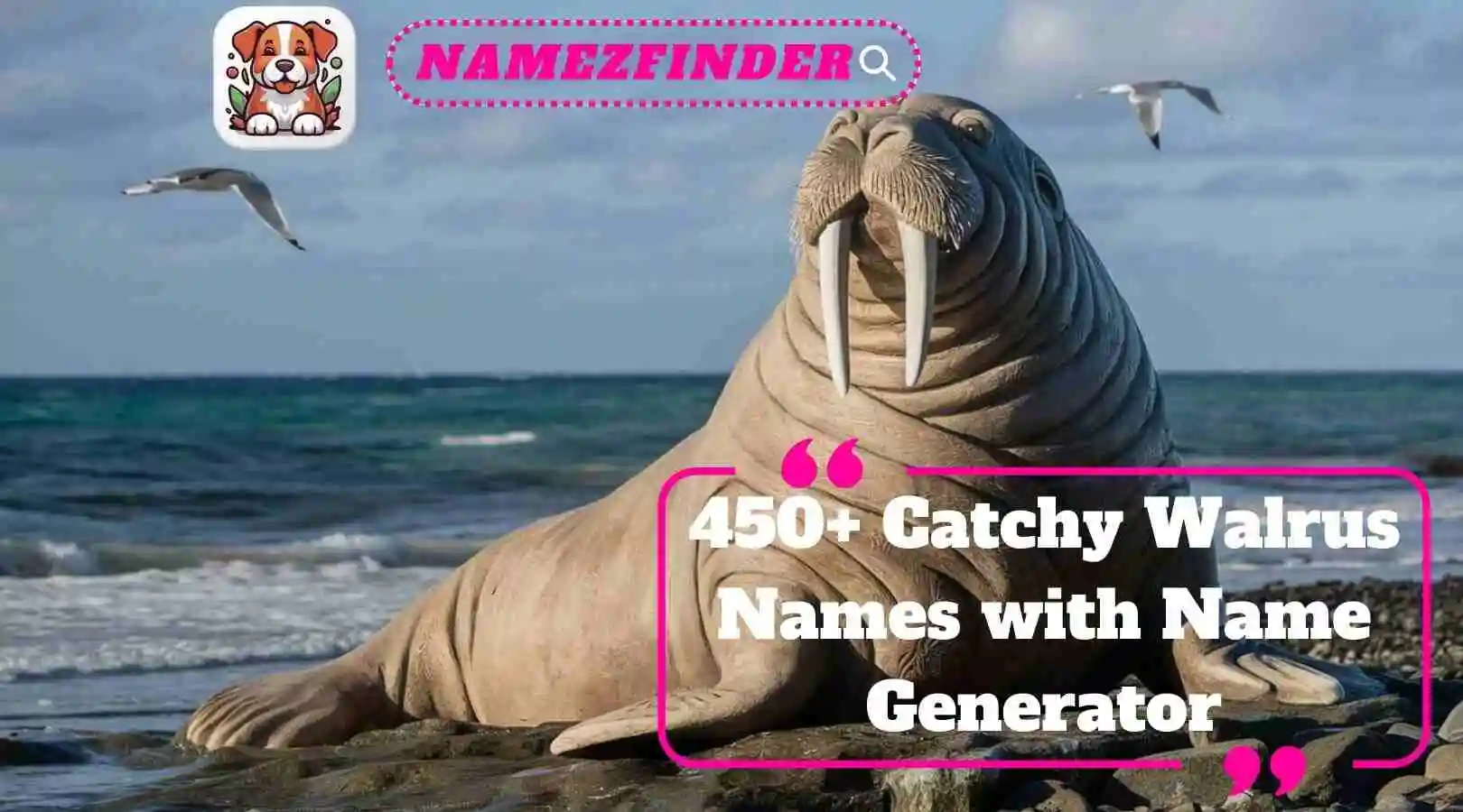 Catchy Walrus Names with Name Generator